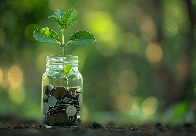 Jar filled with coins and a growing plant symbolising SMSF investment growth